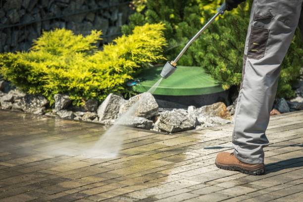 Best Gutter Cleaning  in Farmersville, TX